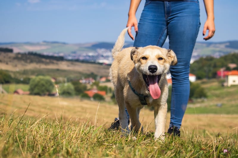 Friends Hiking Together